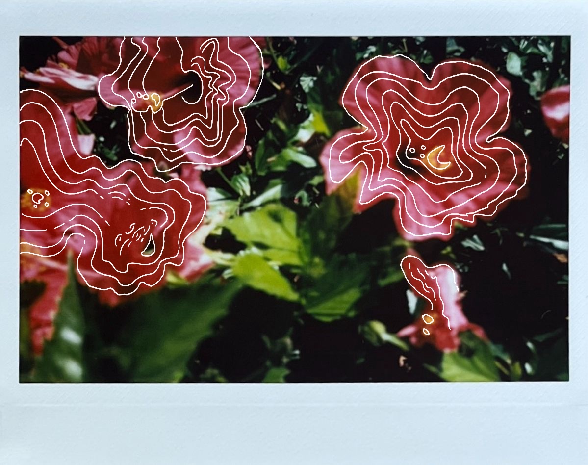 Project 05